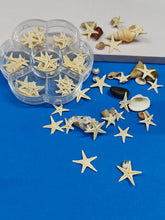 Dried Star Fish